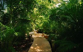 Aldea Coba An Escape Experience